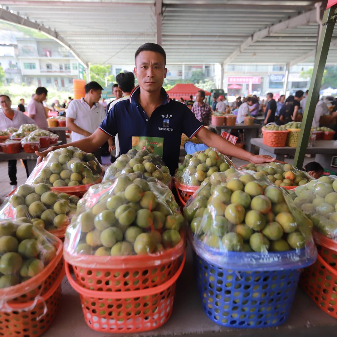建华蜂糖李精品果超市