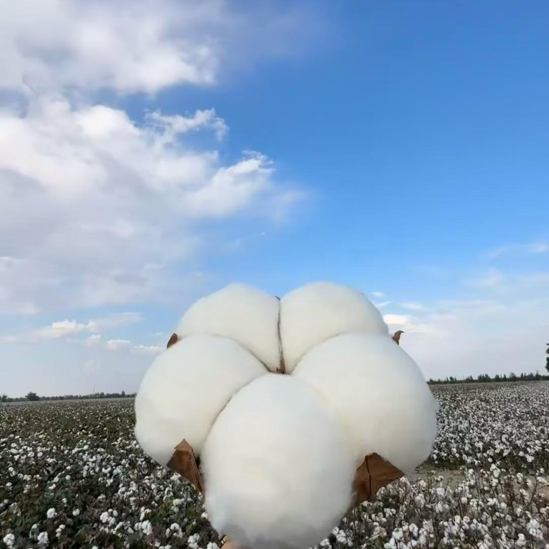 疆被爱家纺专卖店