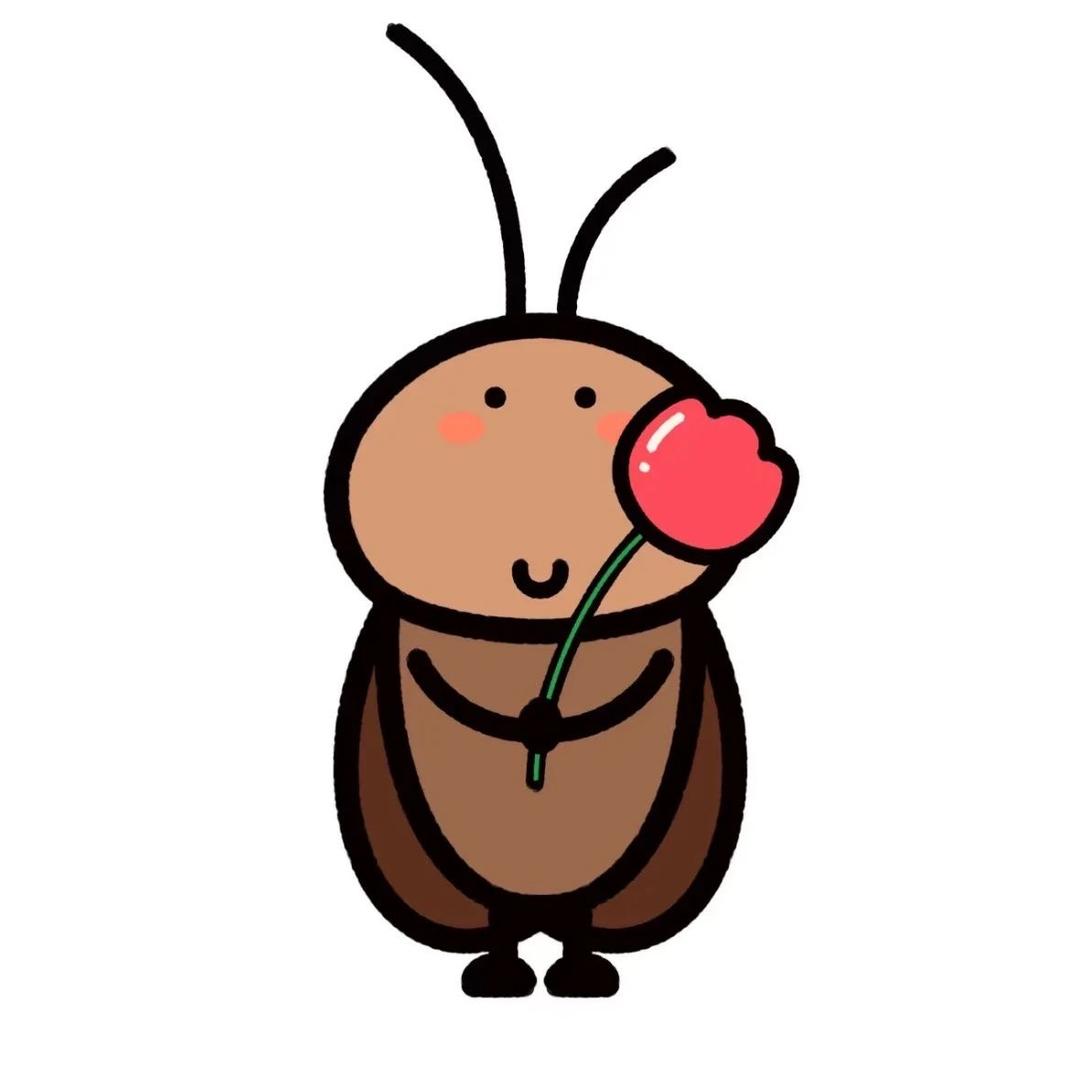 掌中宝@