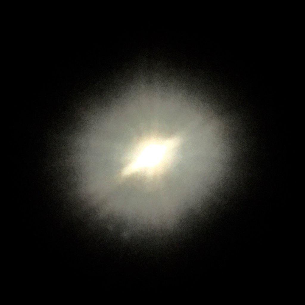 鱼和熊掌不可兼得