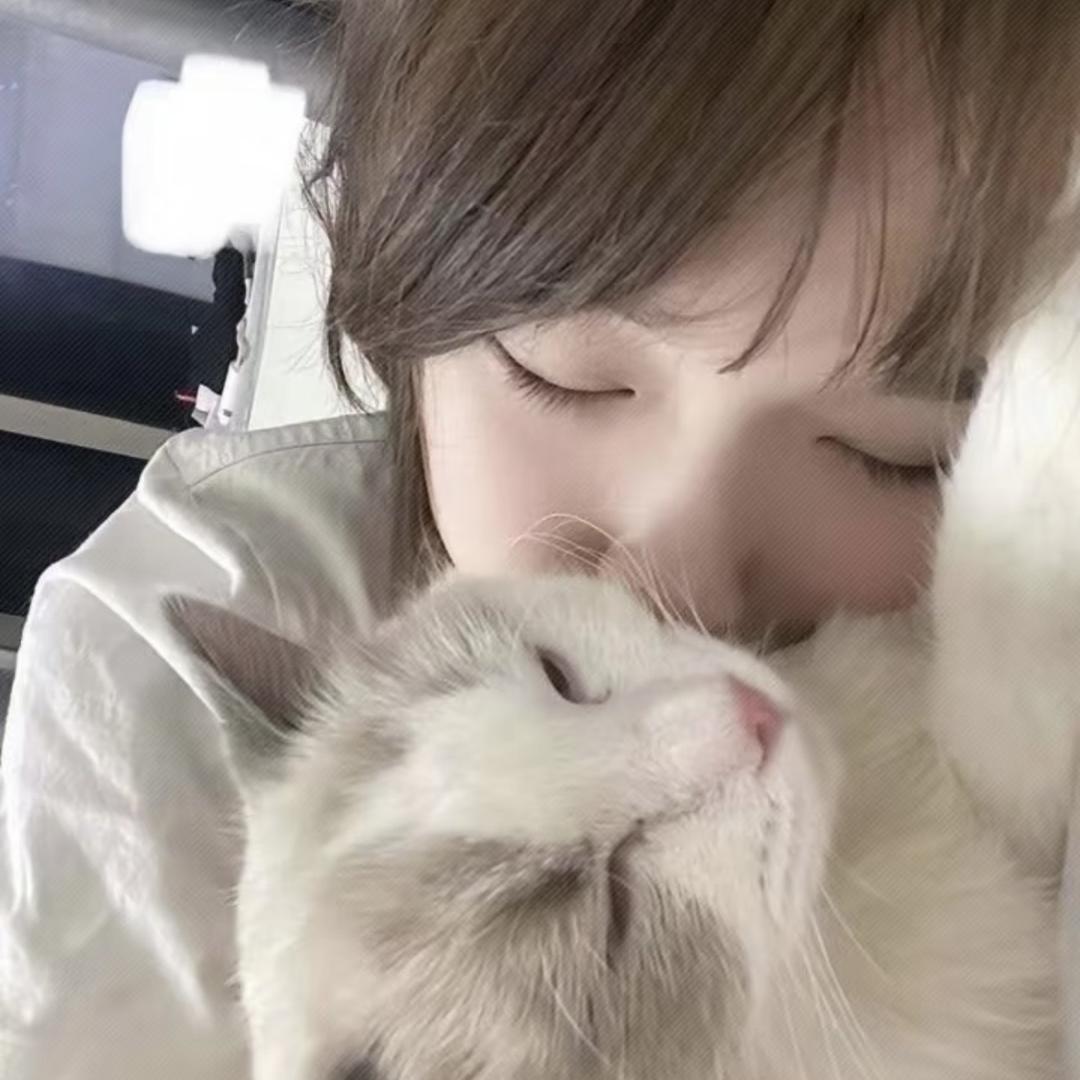 菲