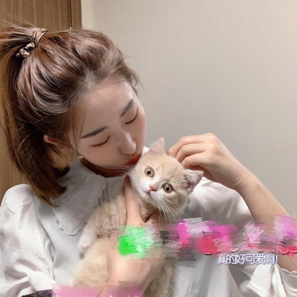 皮咔丘是只喵@抖音