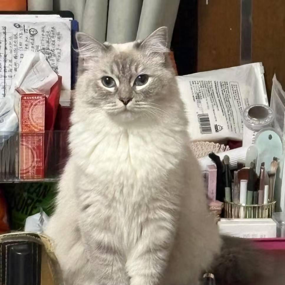 嗯哼哈