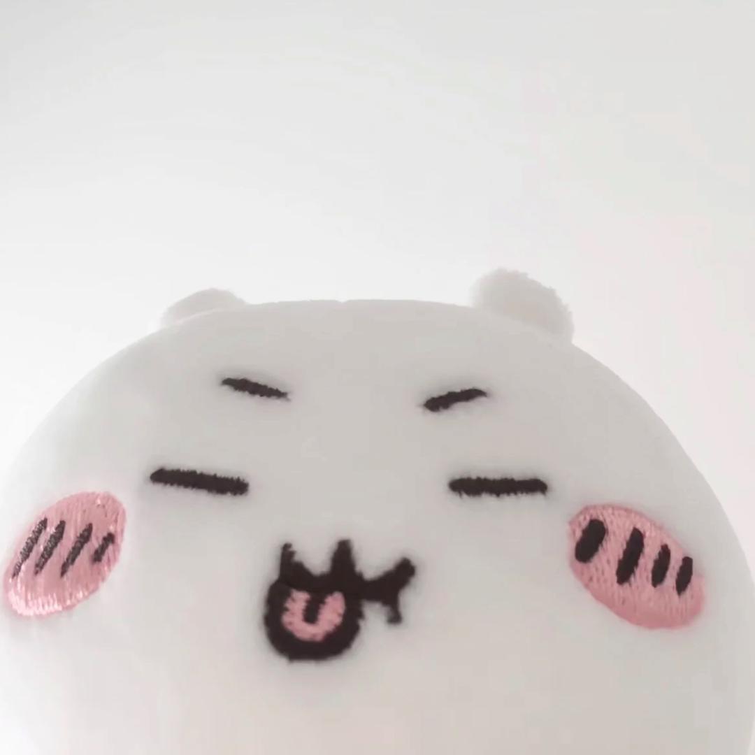 小蔬菜