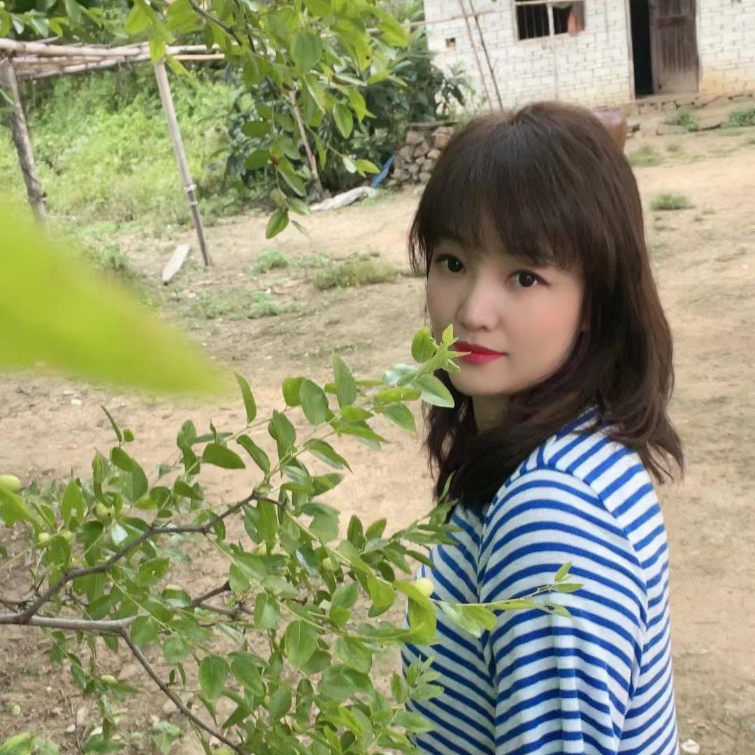 大头莉