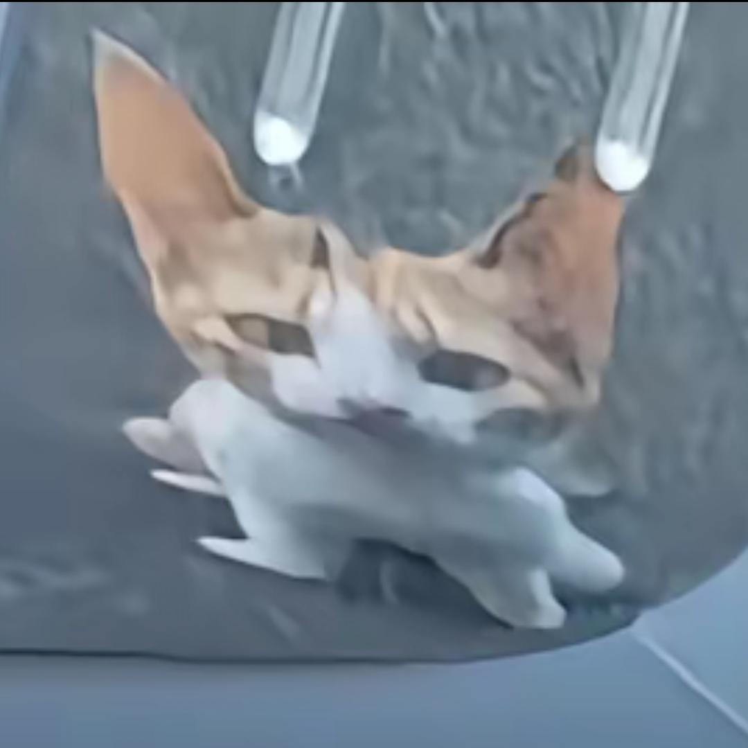空的容器