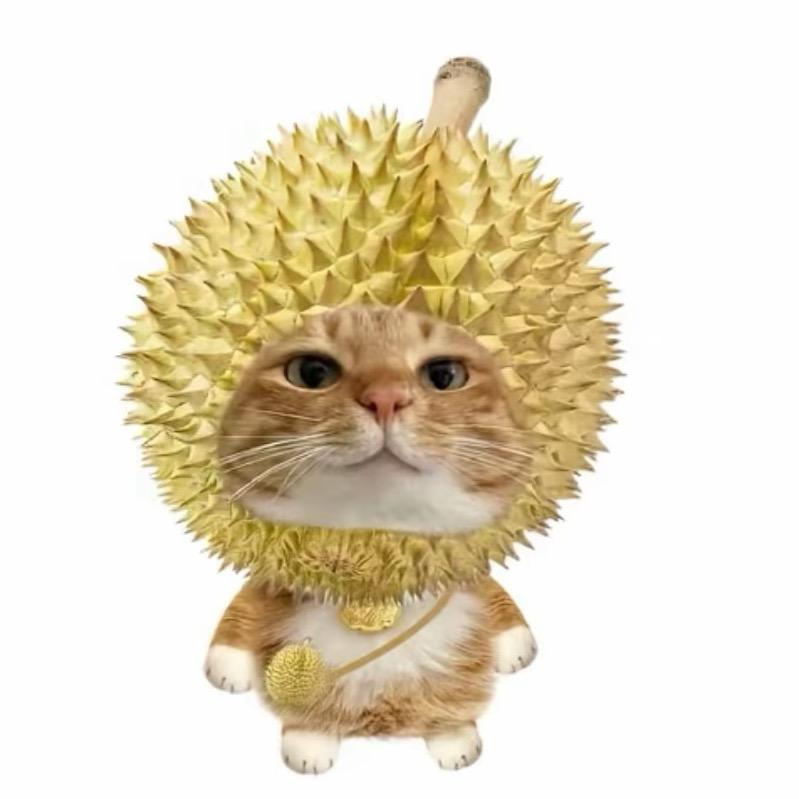 漫漫漫