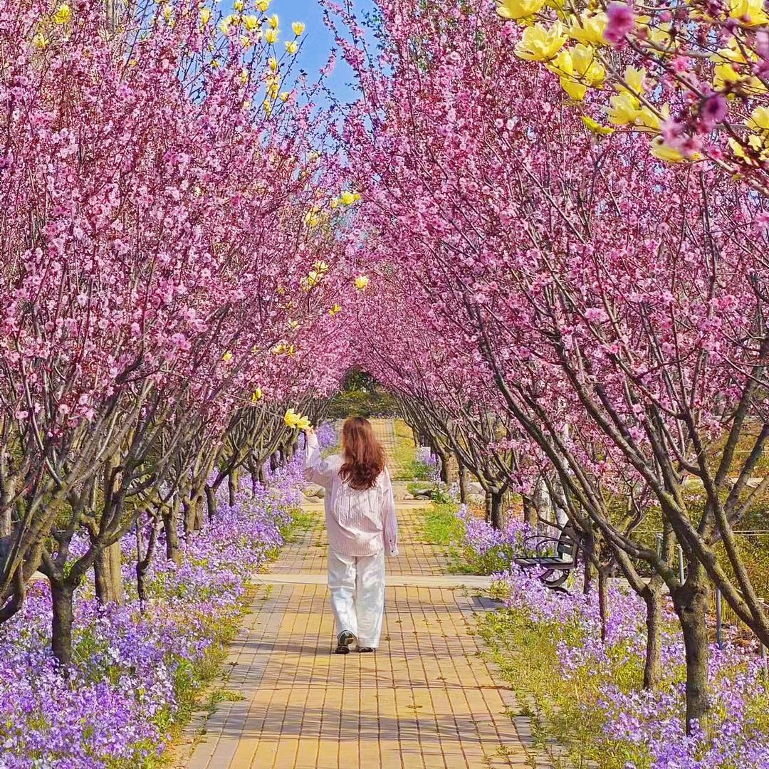 排骨真香