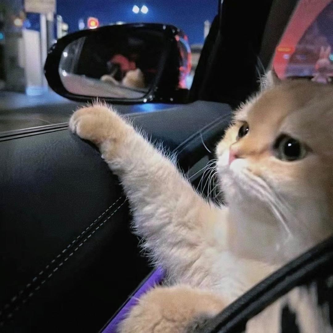 TiAmo！