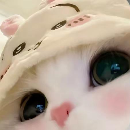 茉莉花茶。