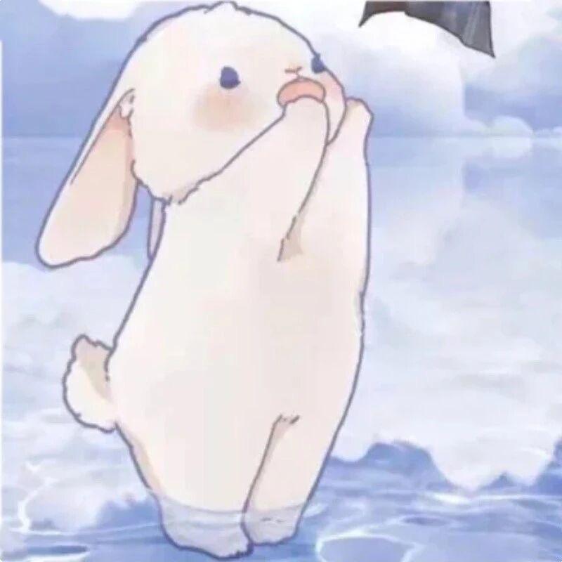 陈子汁🧀
