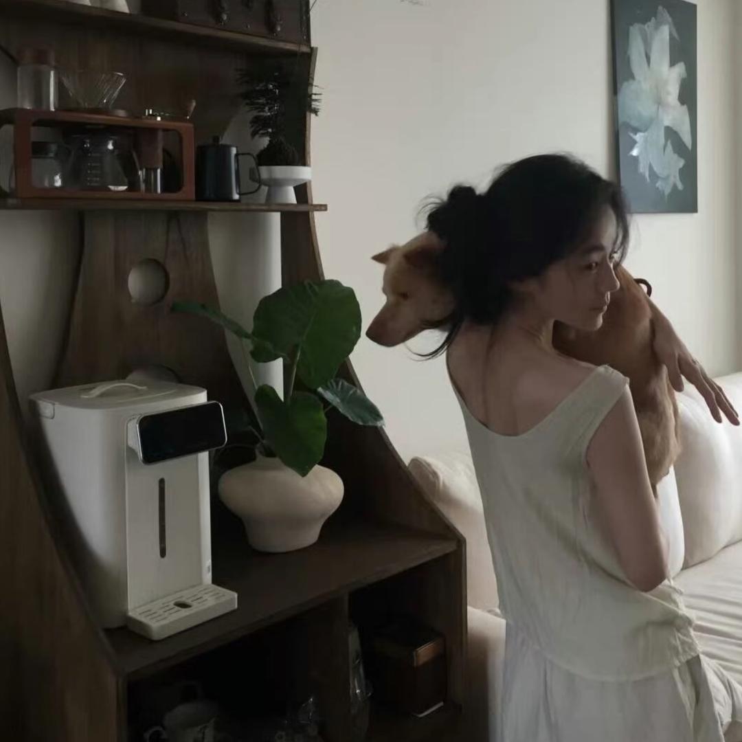 愿·