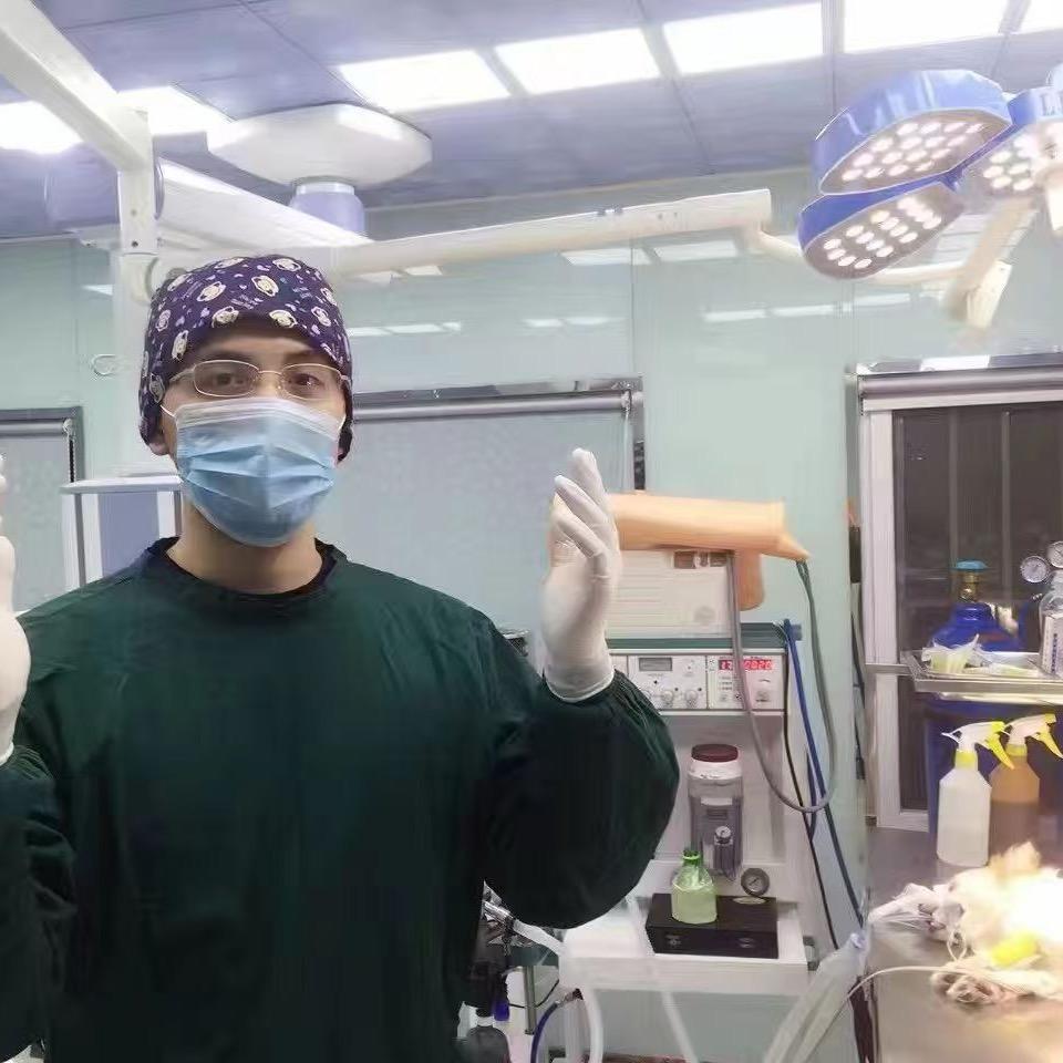 安爸的小比熊跟班