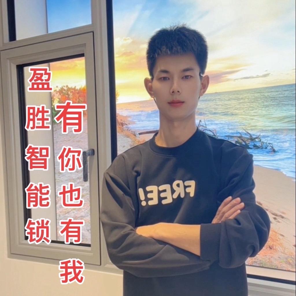 大漠金甲盈胜智能锁