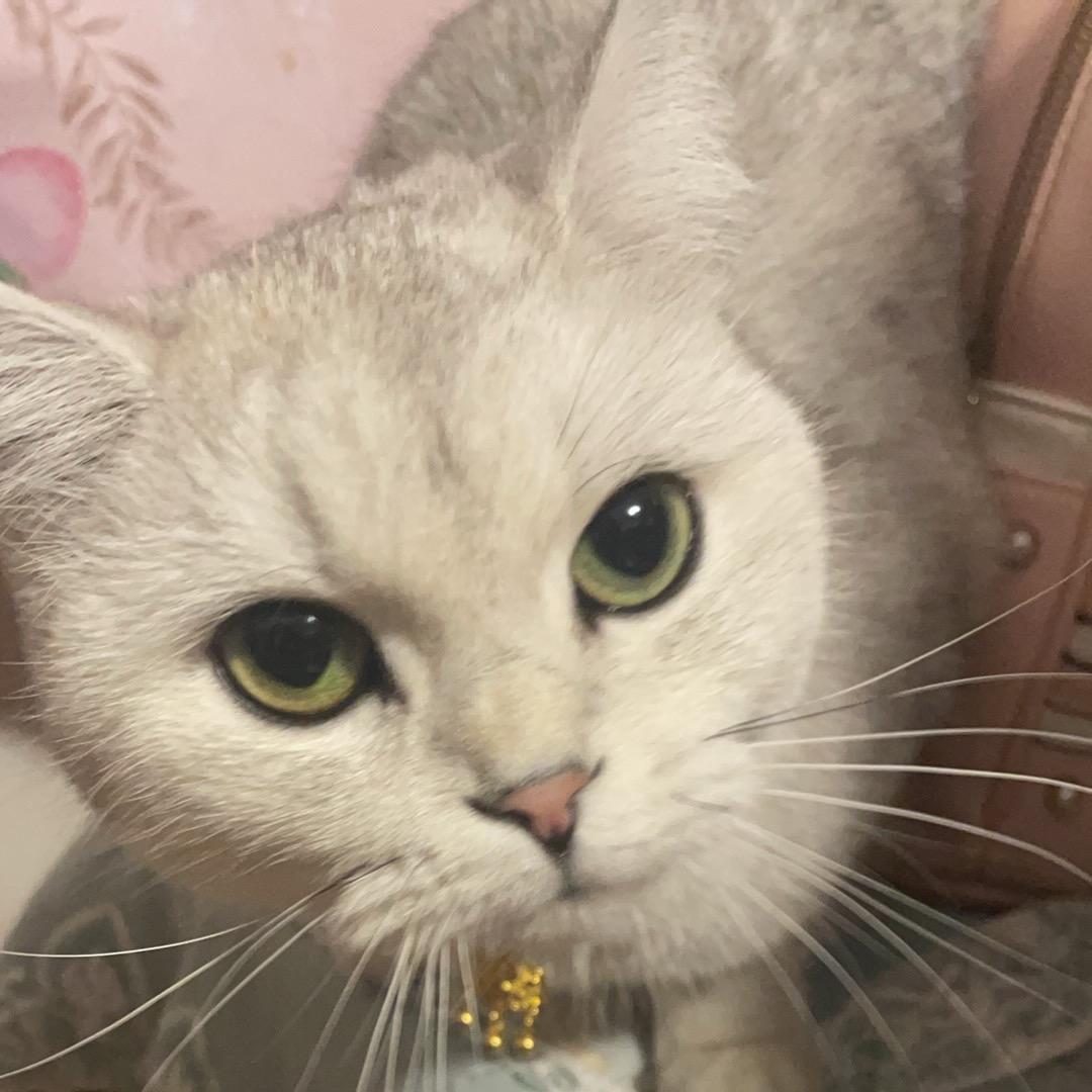 青藤123