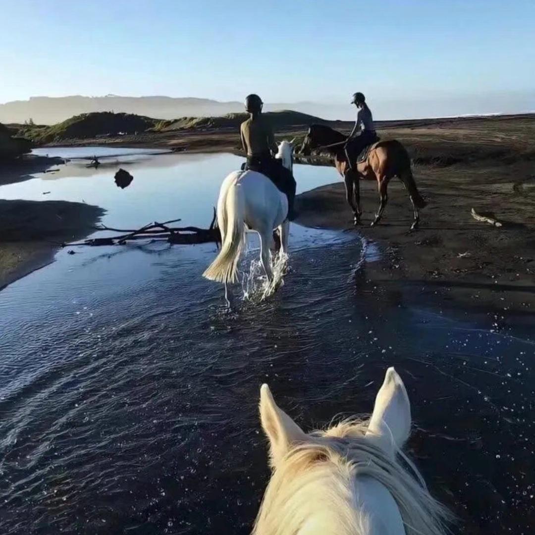 琛哥的家在装修🏡