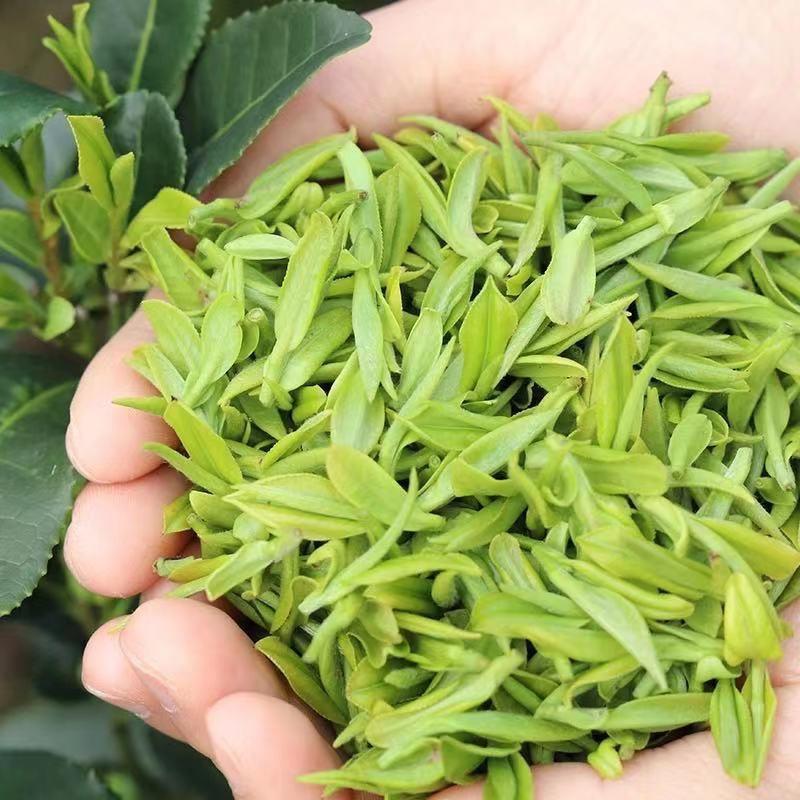 燕子茶叶批发
