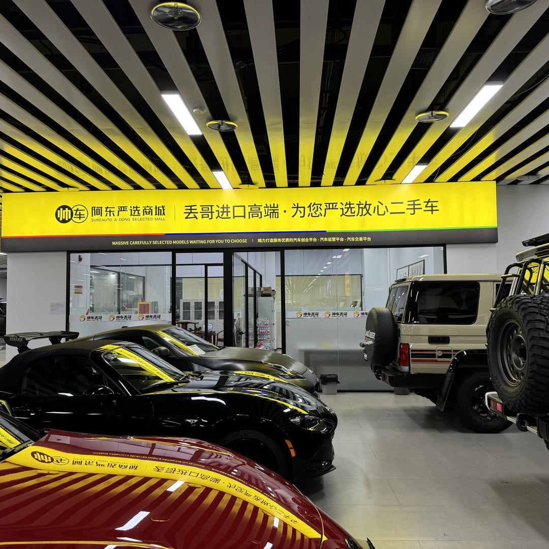 帅车丢哥（大号丢哥说车）