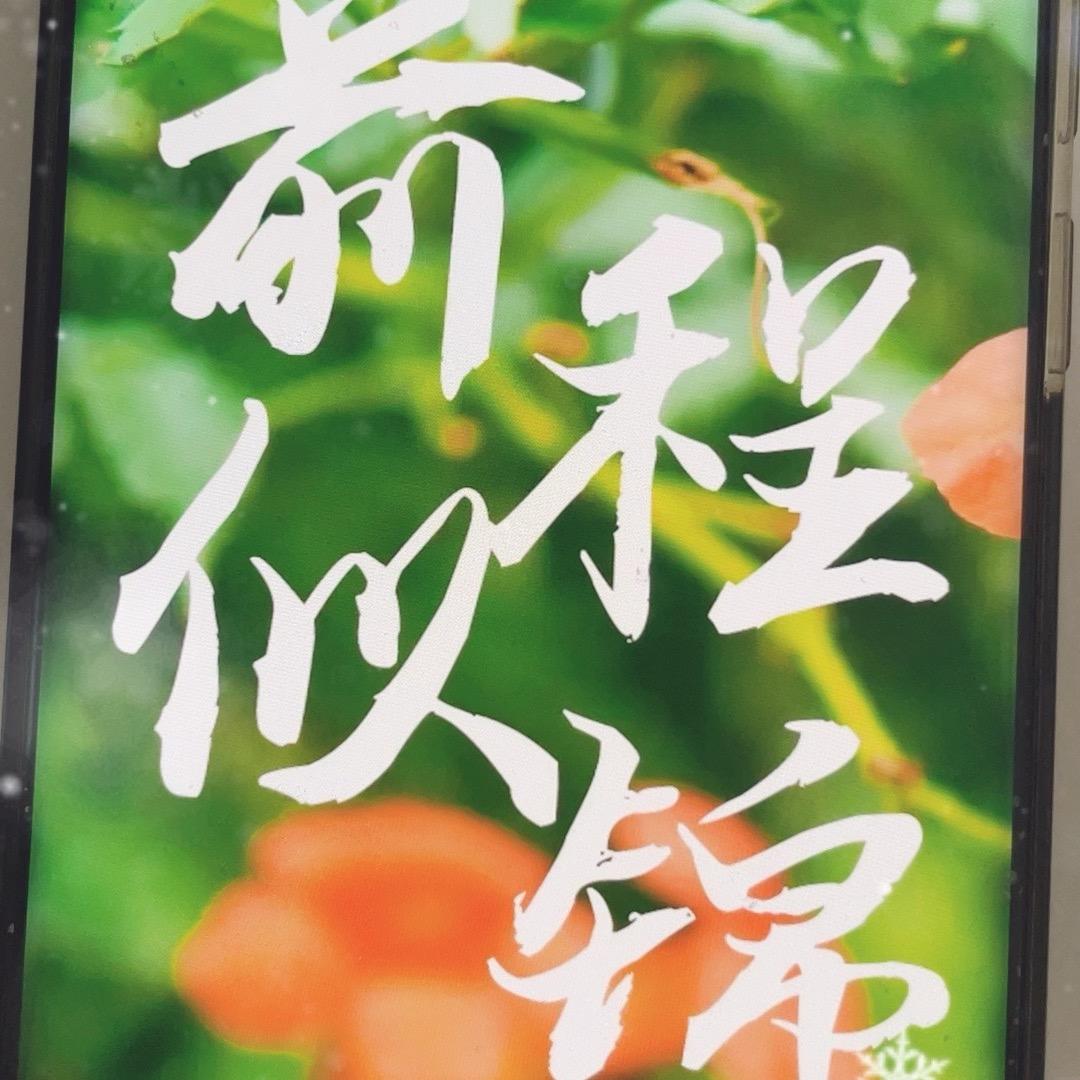 茶