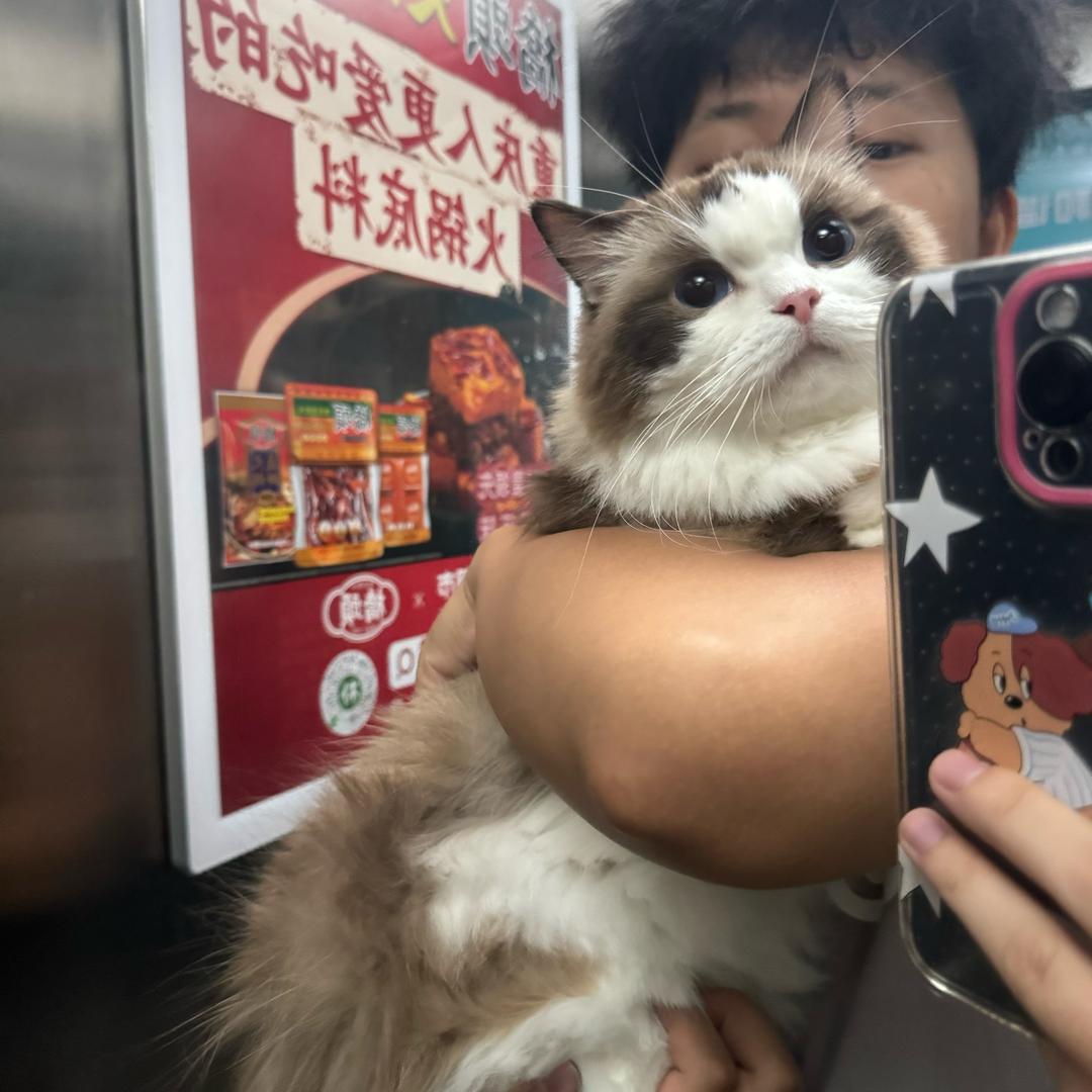 全成都租房·木易