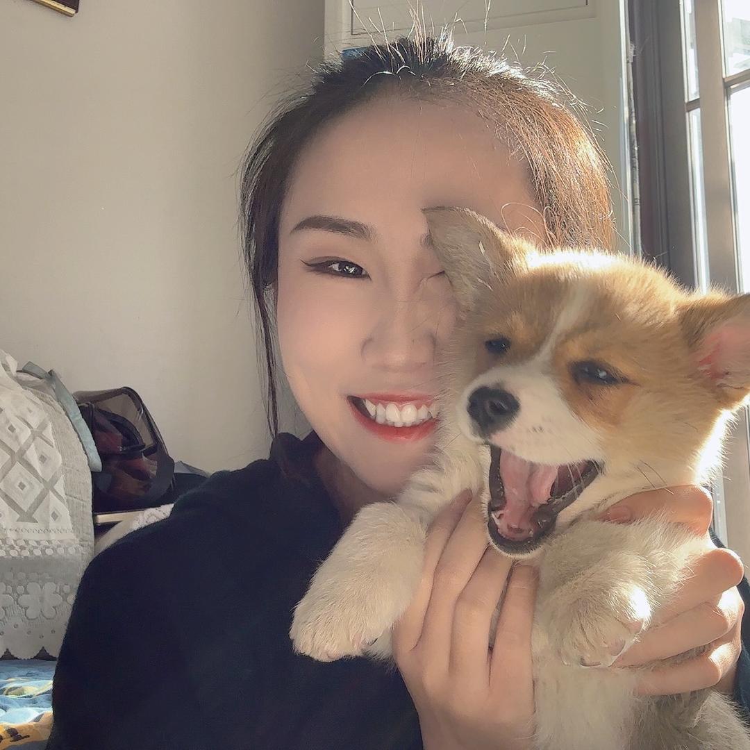🐑儿