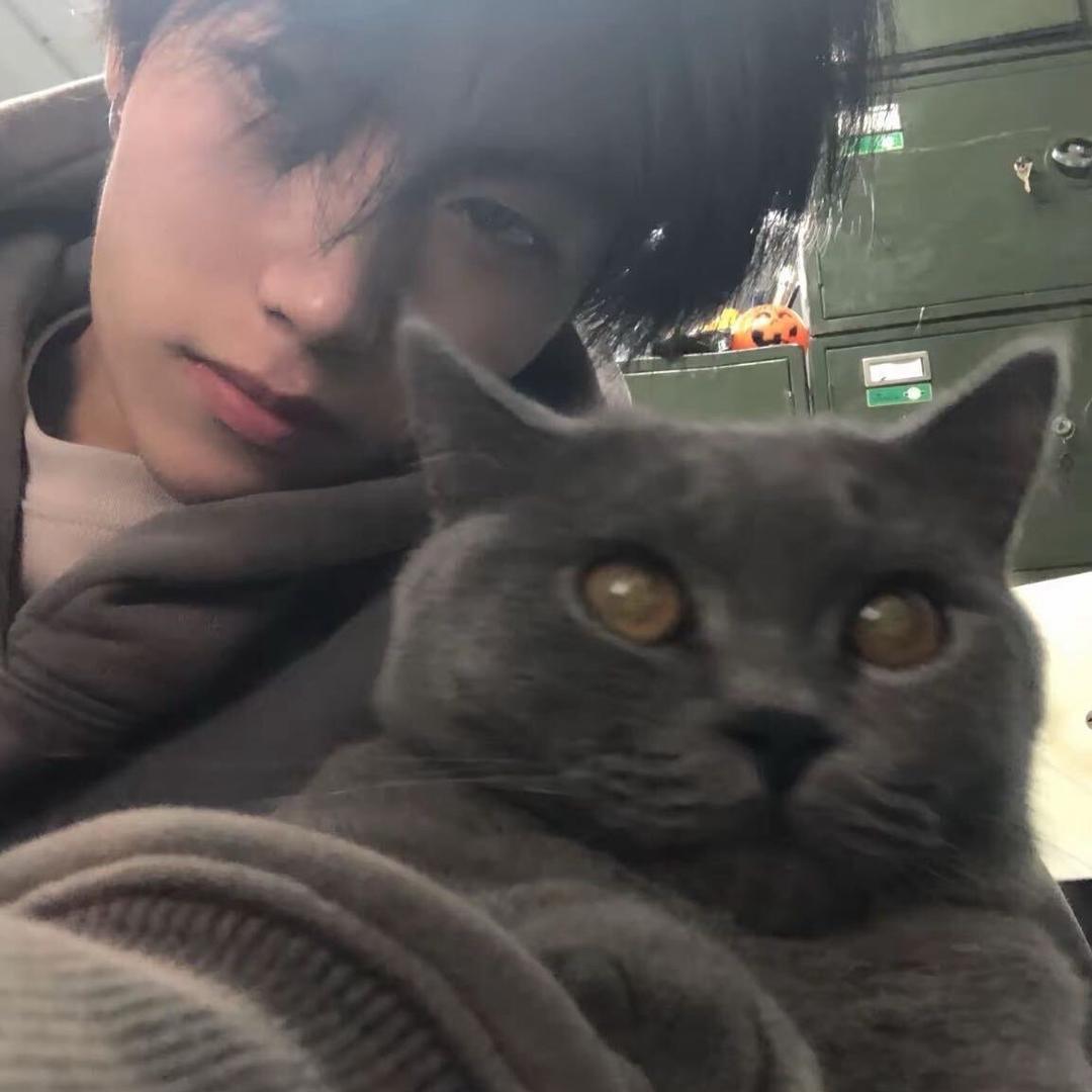 知秋-