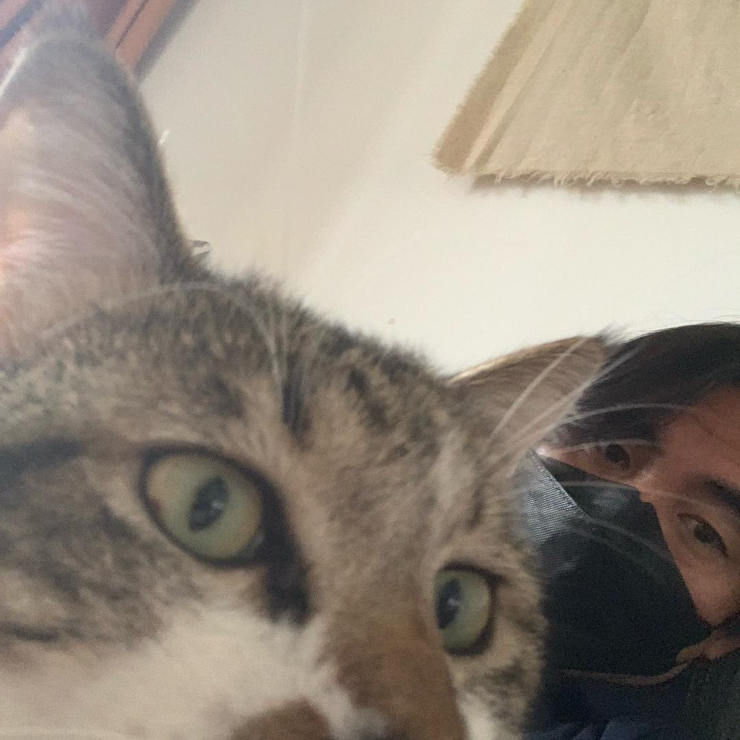 普洱疯马酒吧……猫的事情