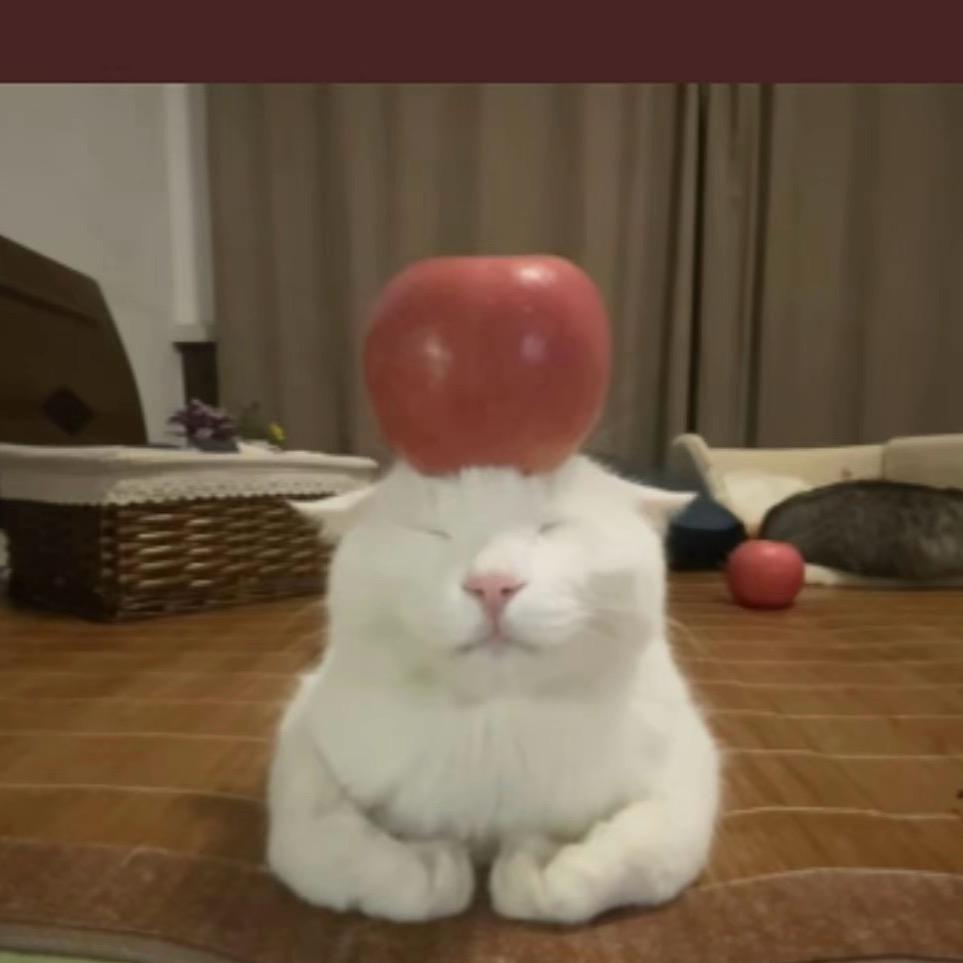 离开我谁还给你当妈