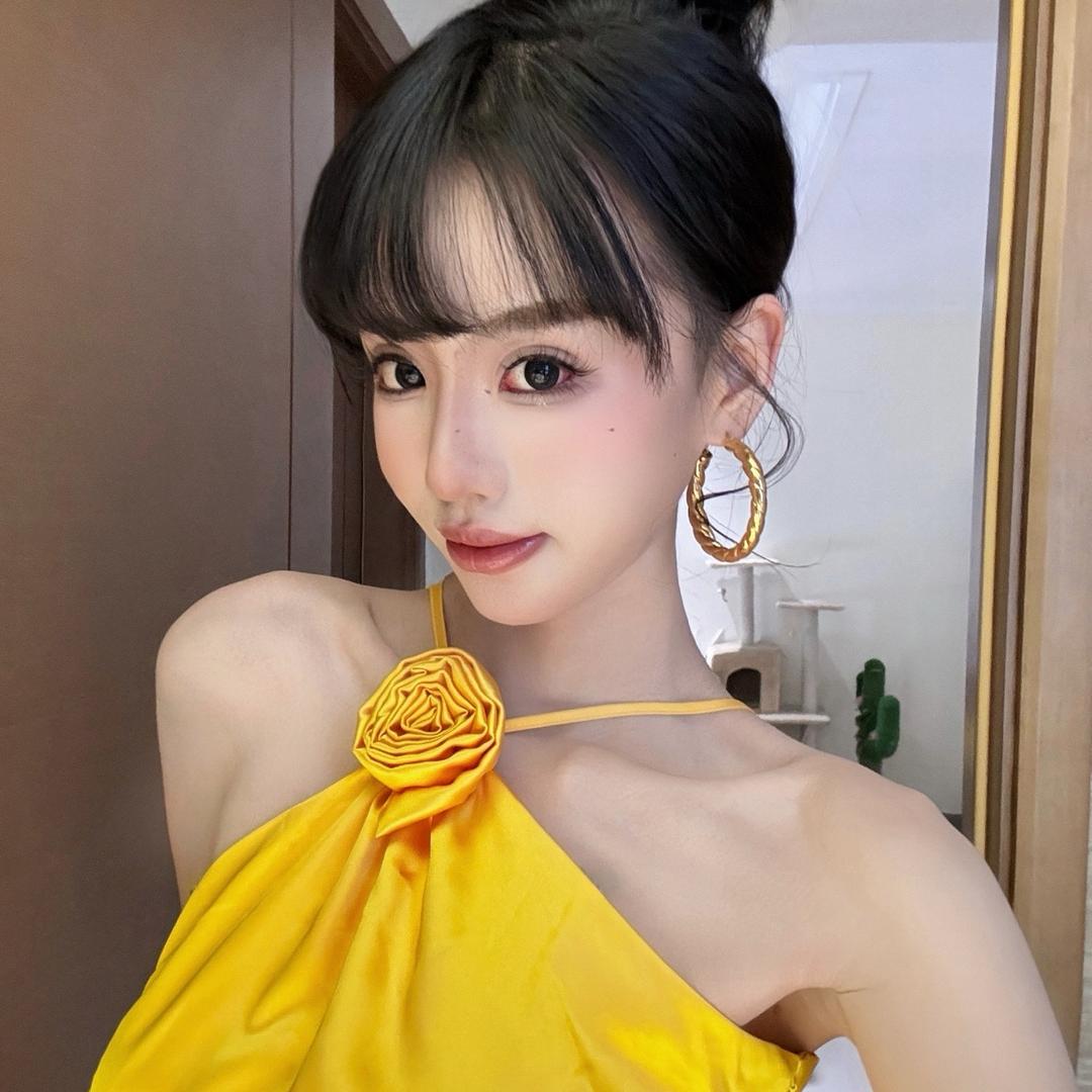 宝崽
