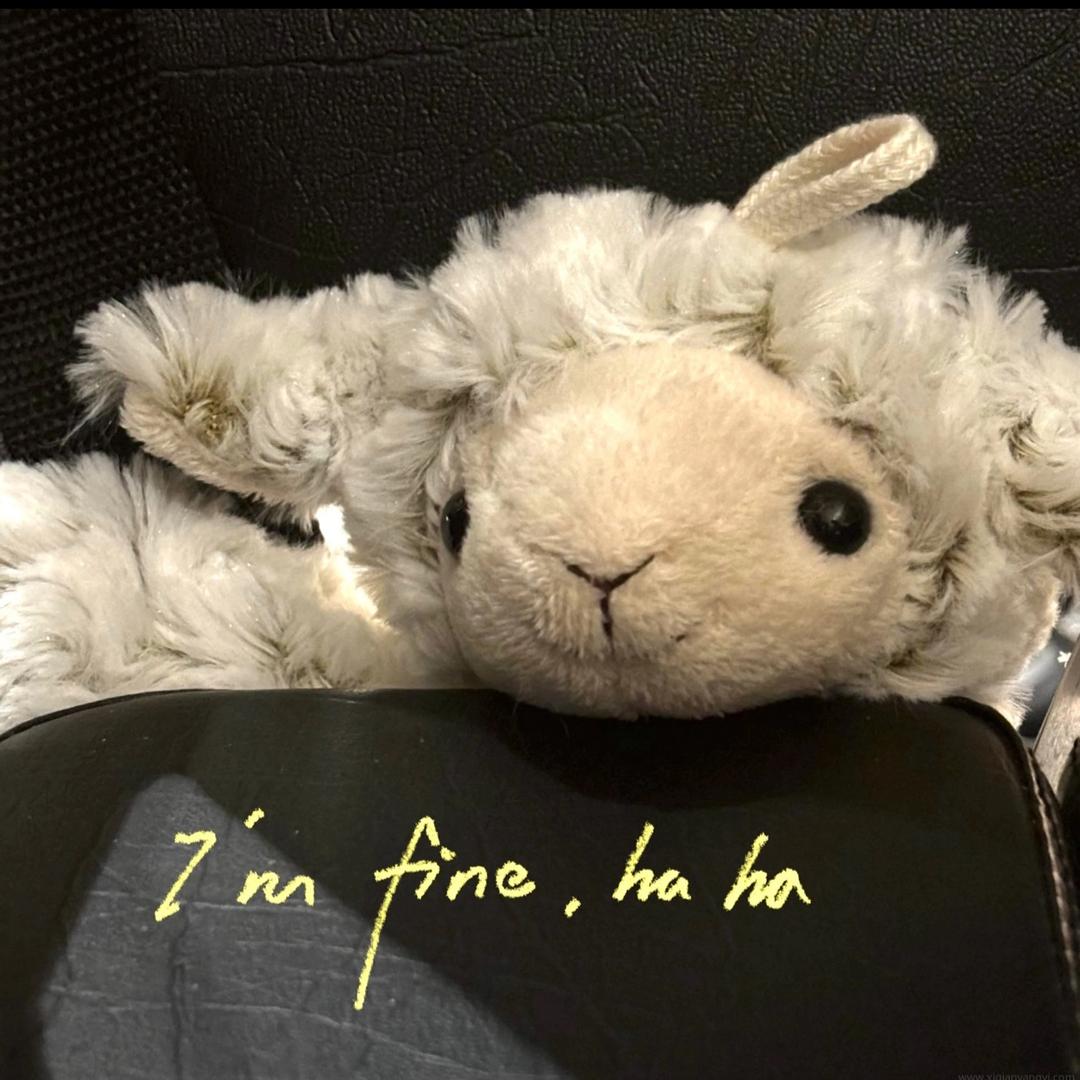 羊咩咩🐑