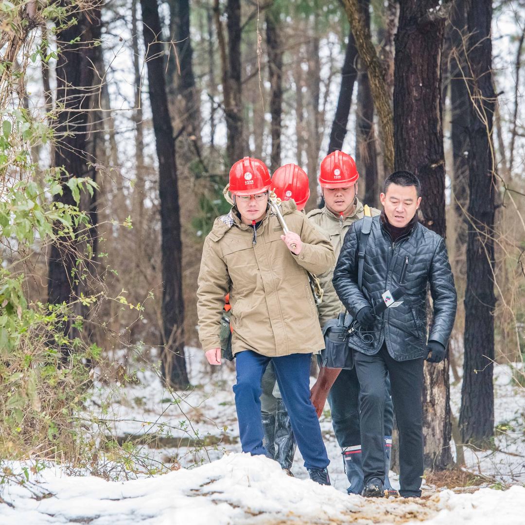 庐江吴金权