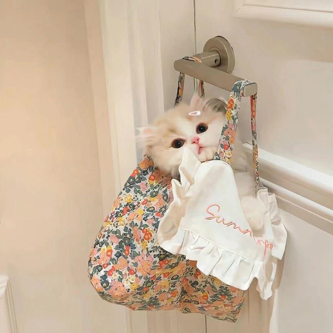 ￴ ￴￴ ￴￴￴￴ 锦鲤