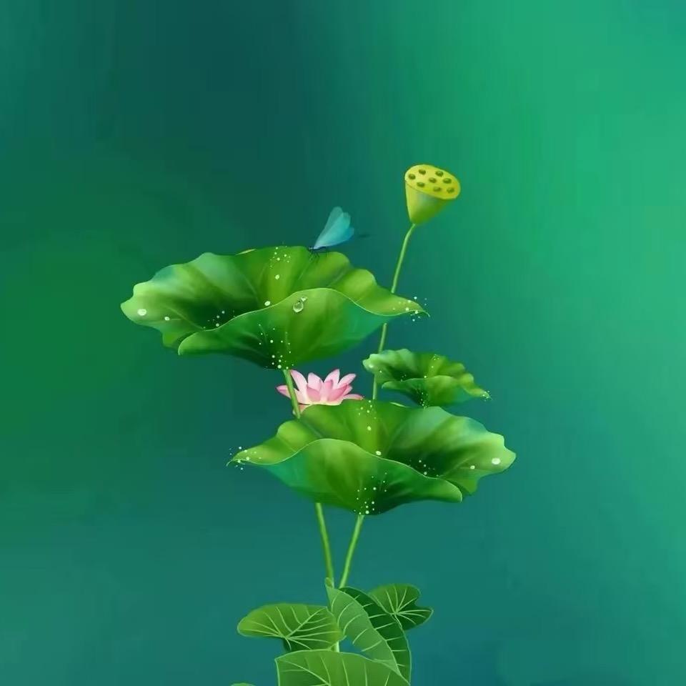 超弦之渊