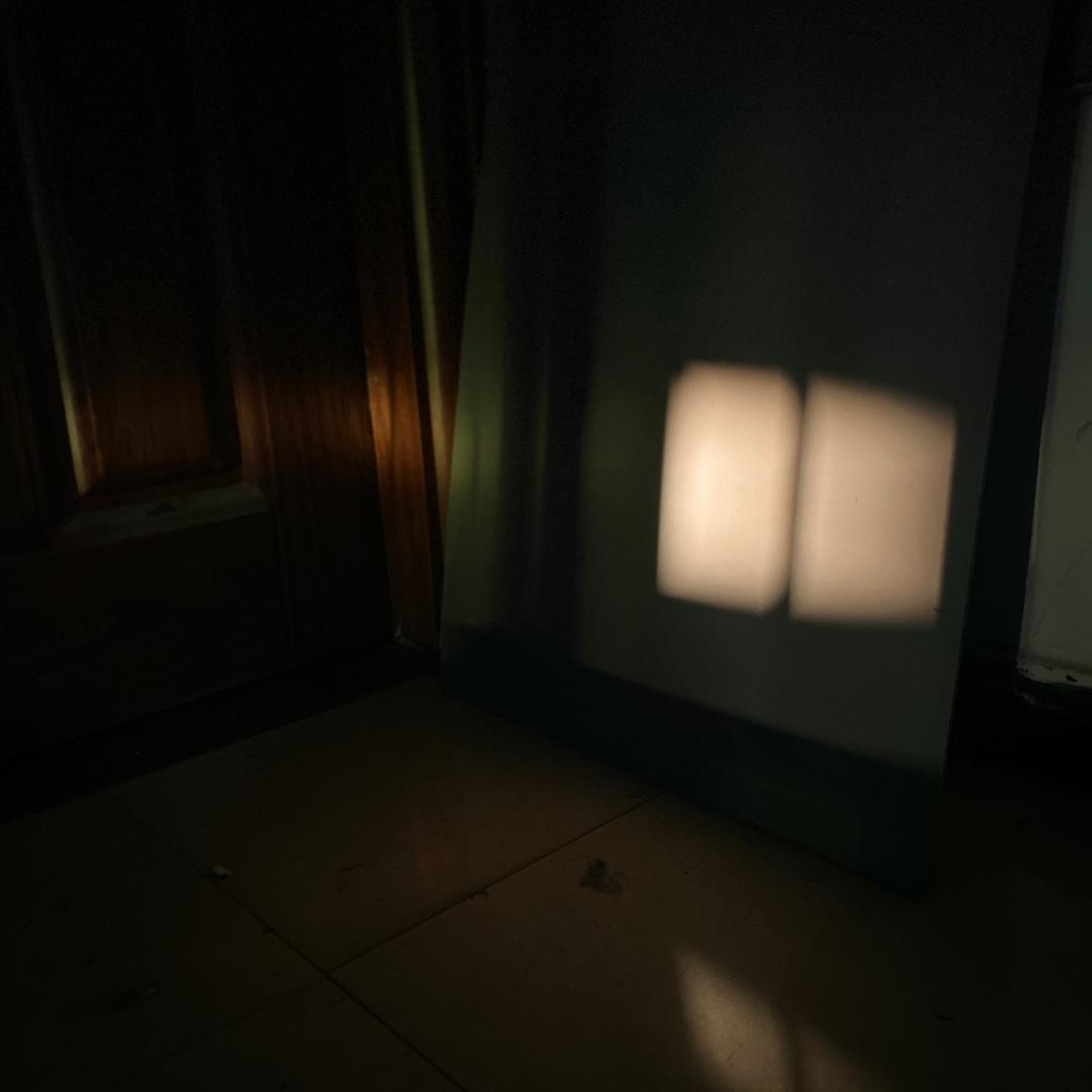细蚊仔