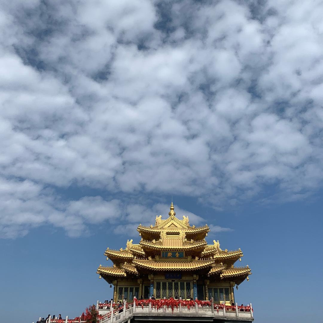 麋鹿°