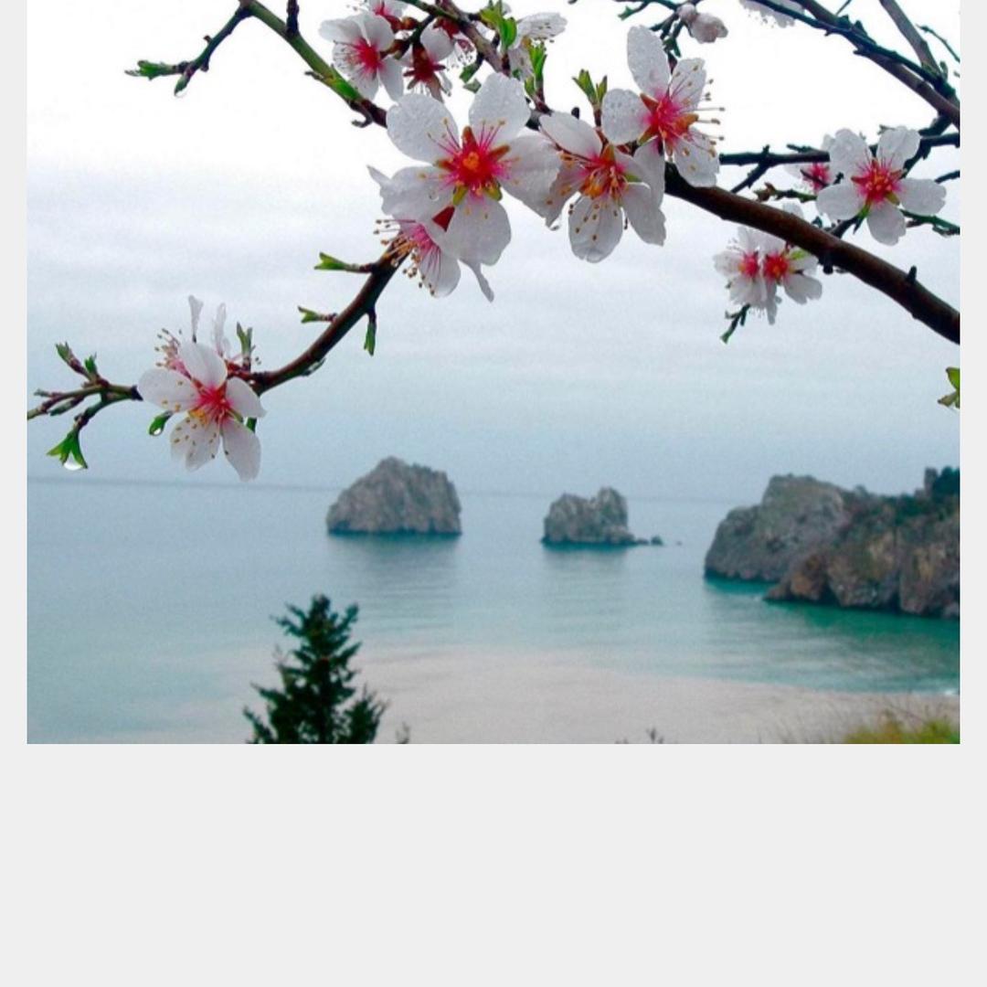 @龙