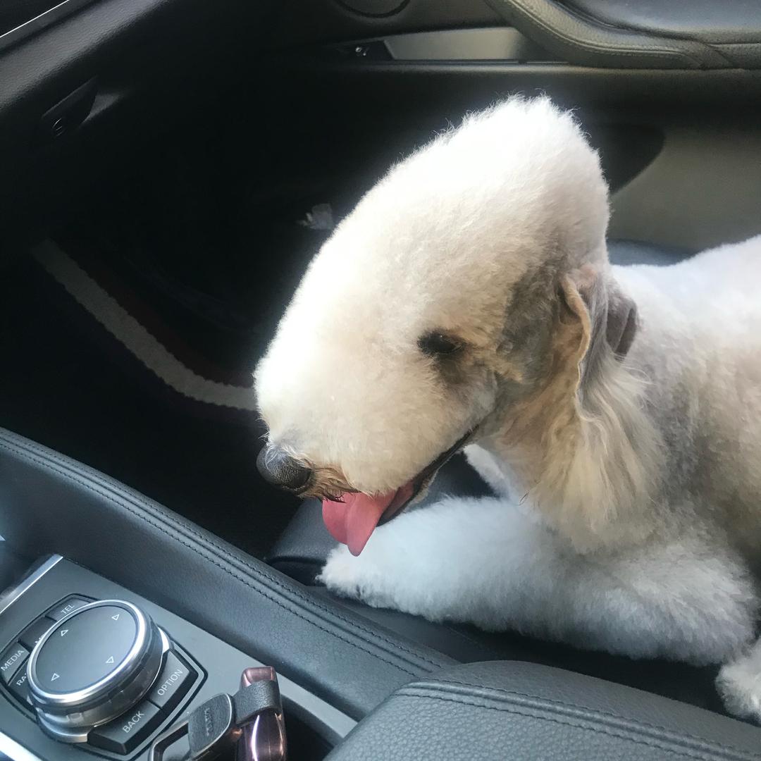 🐹～动动～🐹