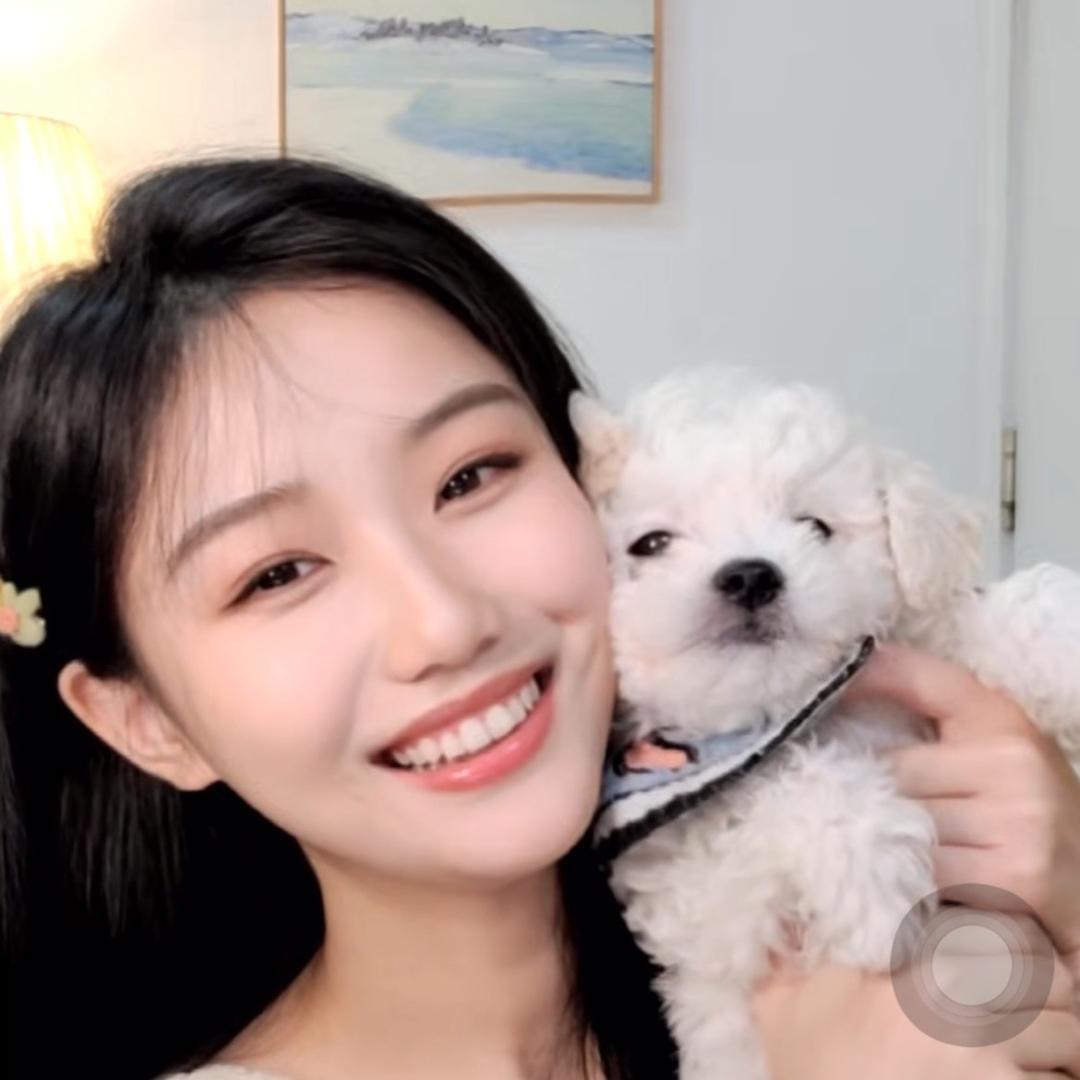 WenWen