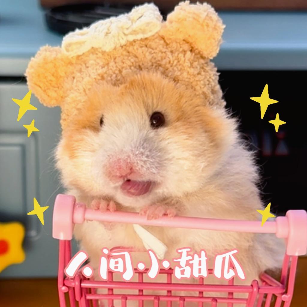 雁之东南