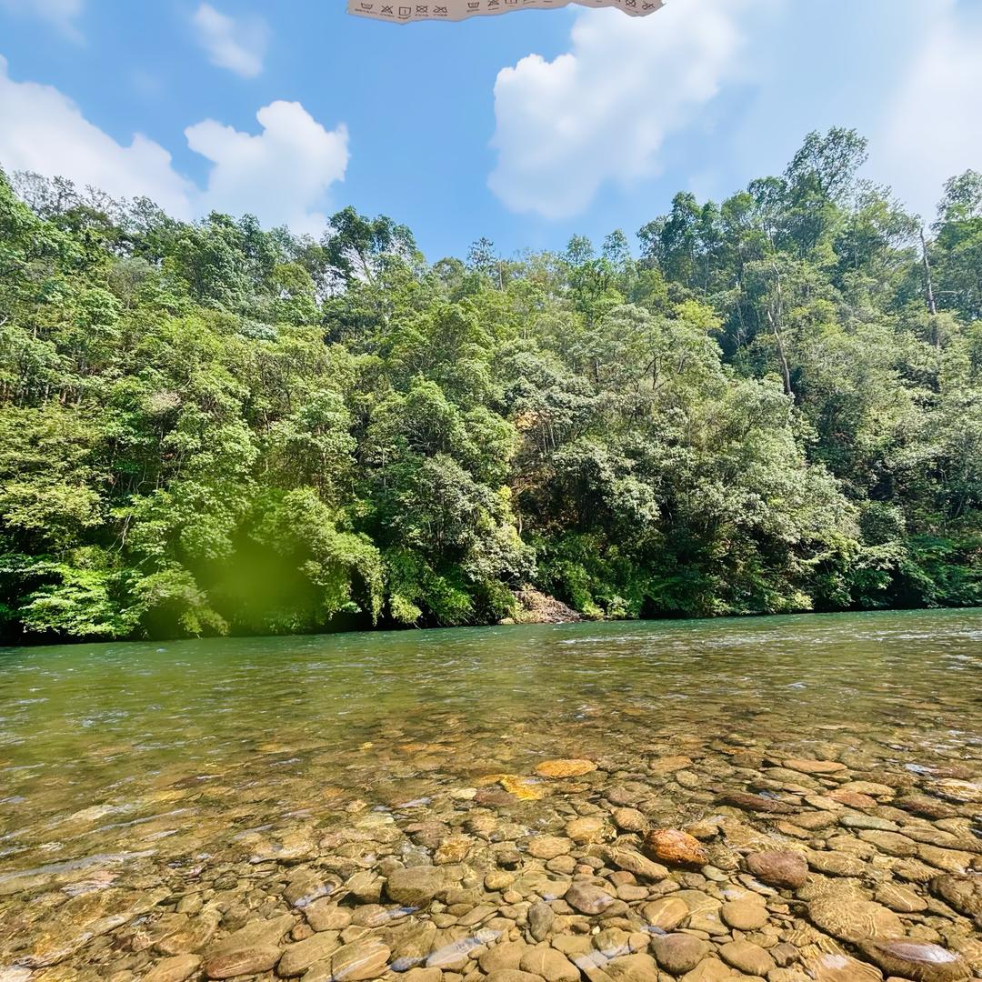 堂堂山谷—汤姆