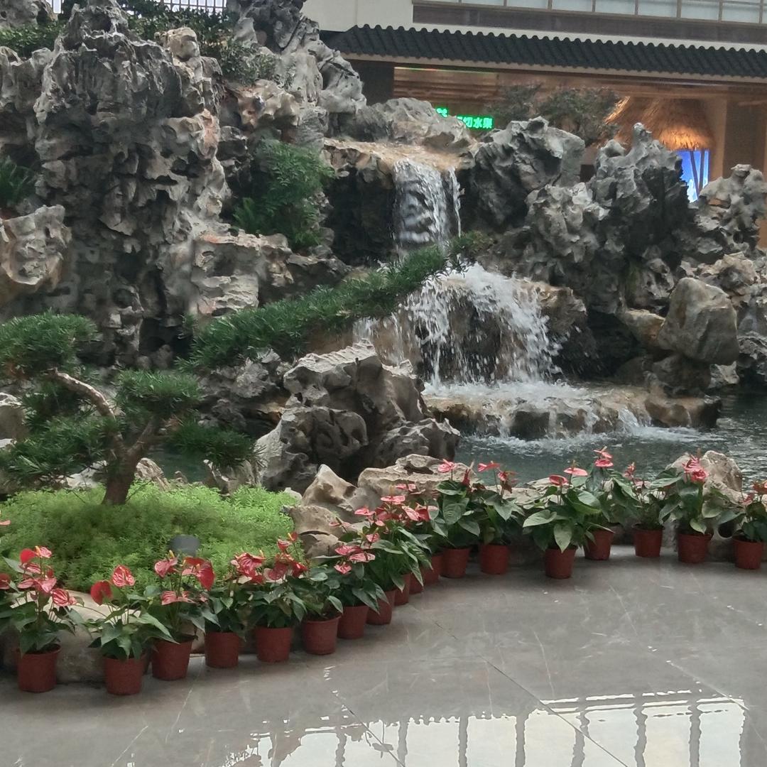 朱二哥