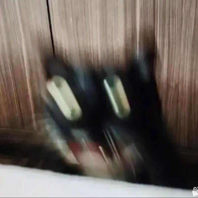 超级无敌大西瓜