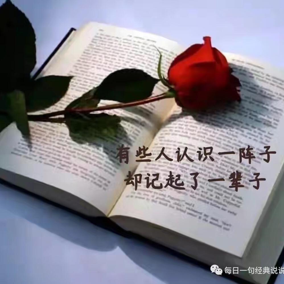 心諾相依@