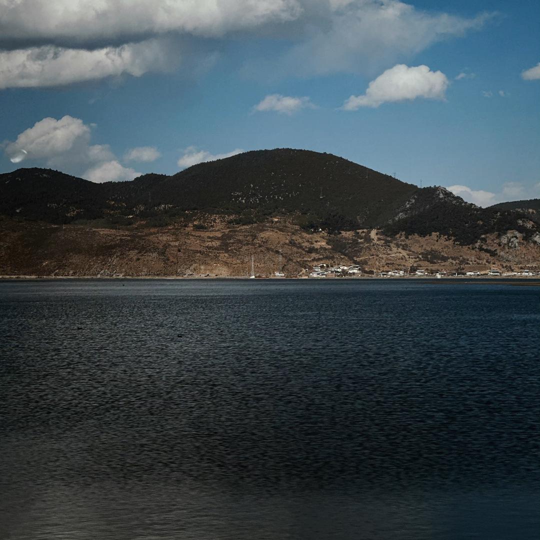 苟全性命于盛世