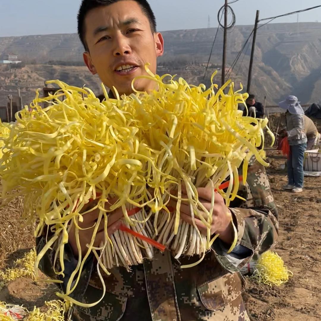 塞北特产