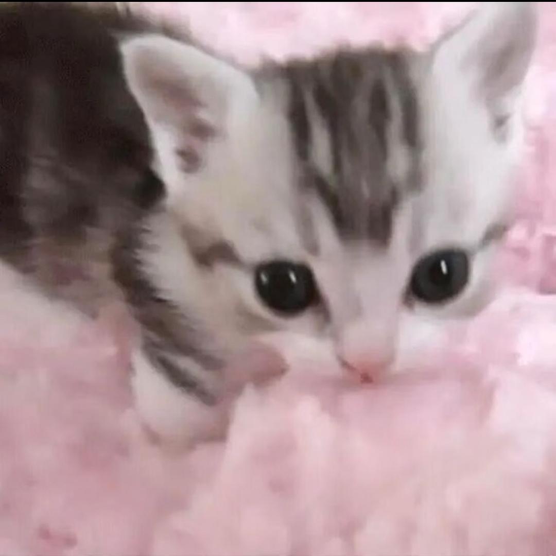 下个星期去墨尔本-