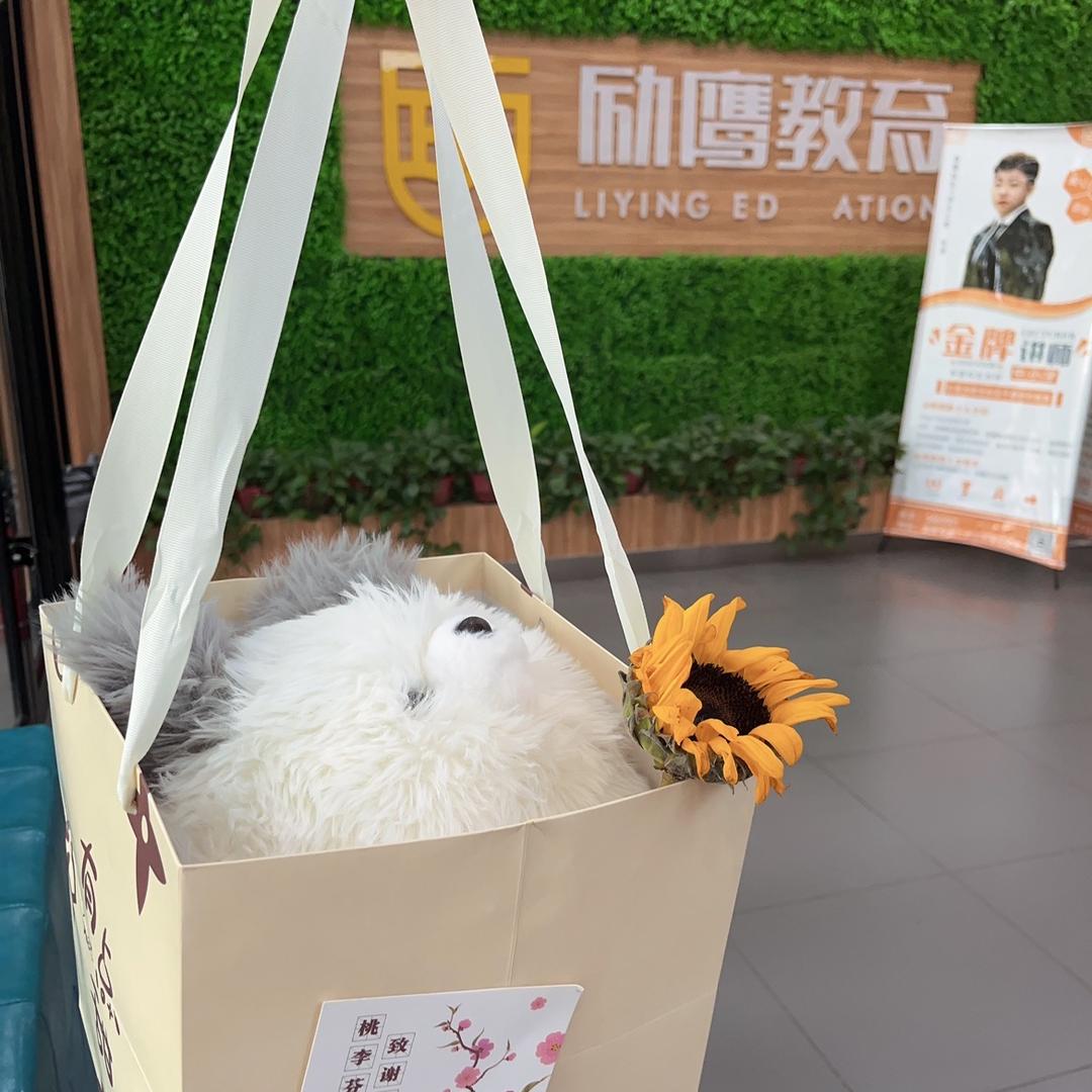 小可爱⚈₃⚈