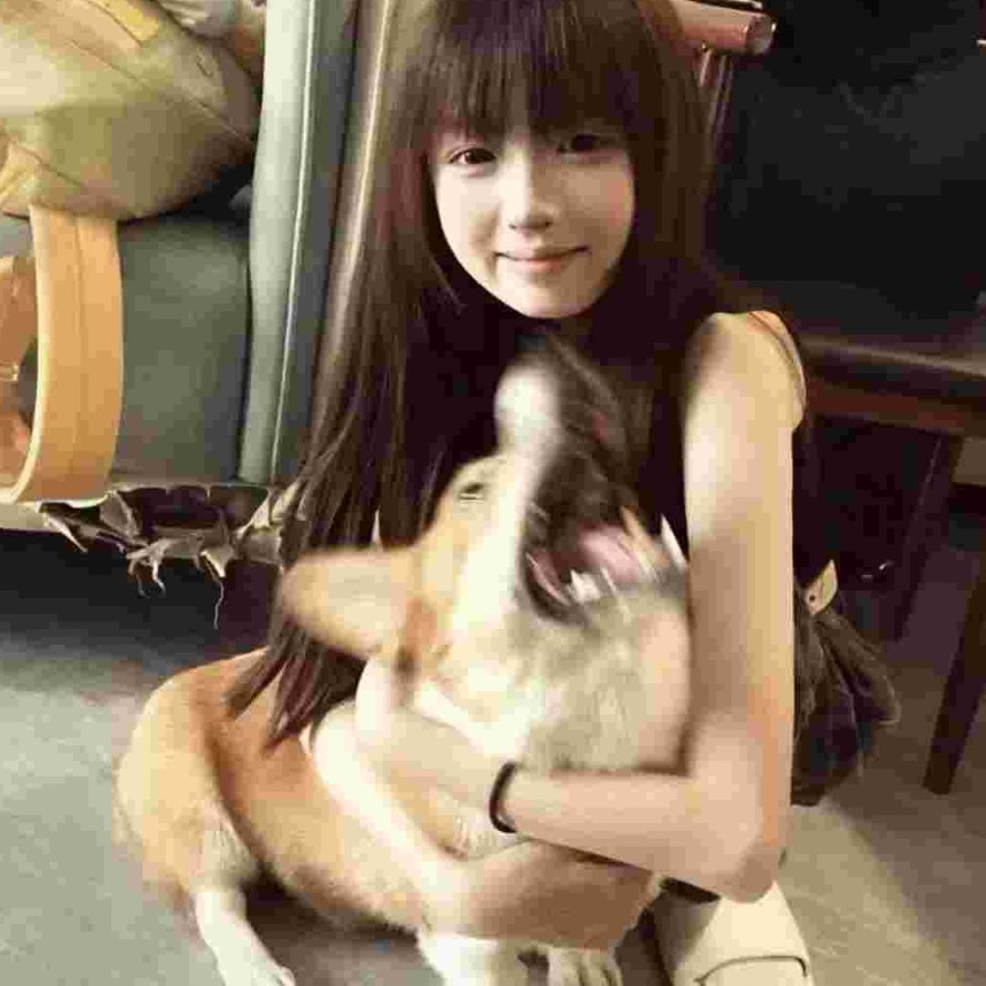 坏又萌