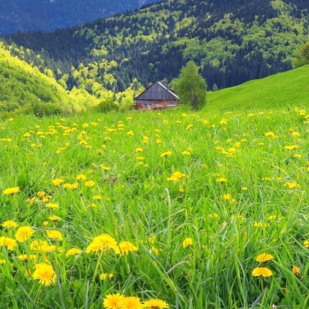 分享好物的头像