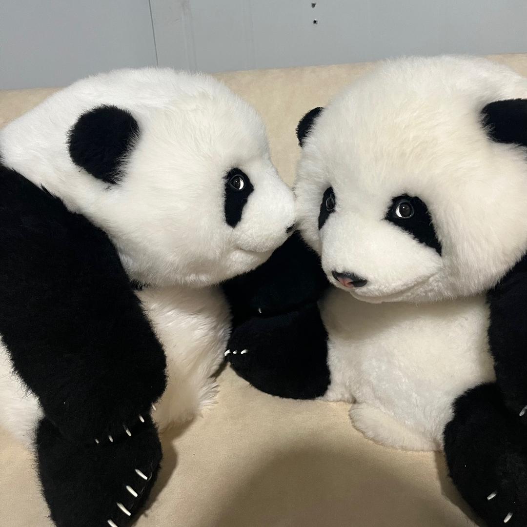 熊猫说
